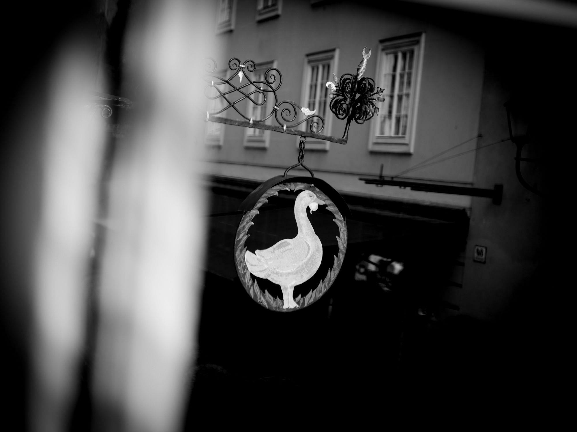 Arthotel Blaue Gans Salzburg Exterior photo